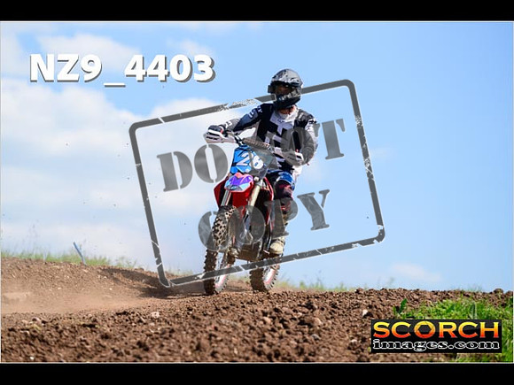 InterGreen-302