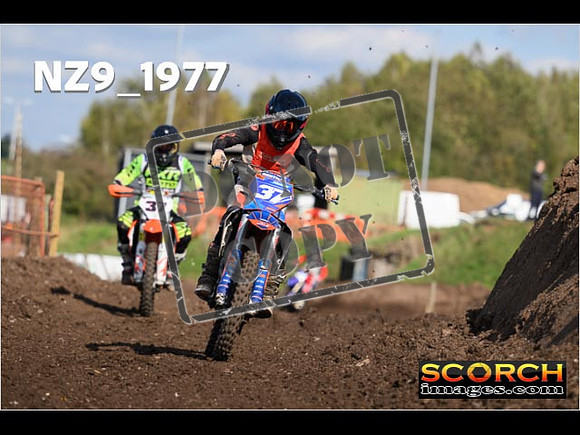 Experts-320