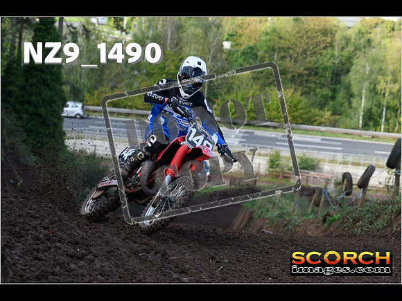Experts-182