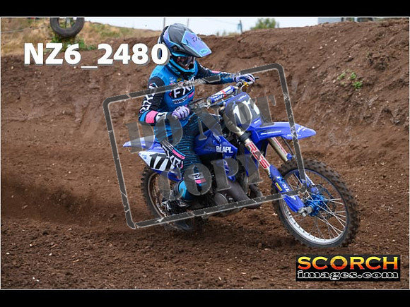 Experts-060