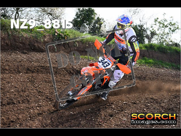 Experts-059