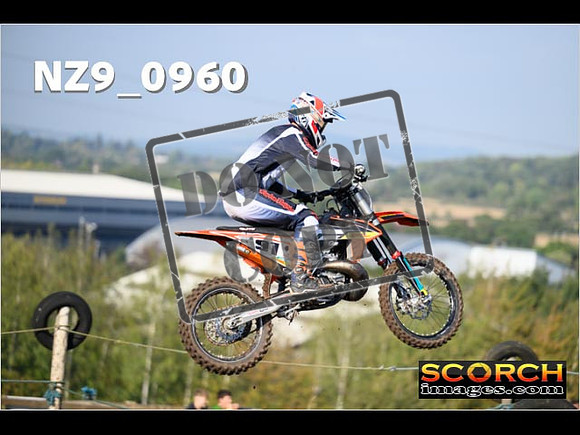 Experts-168
