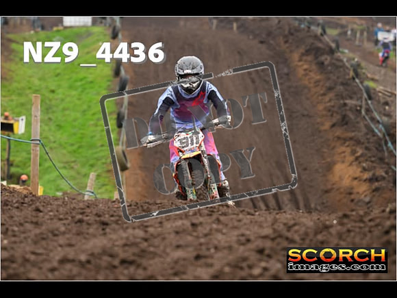 Experts-277