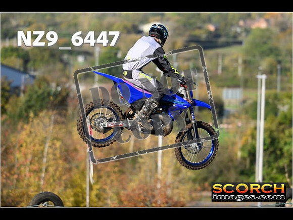 Experts-060