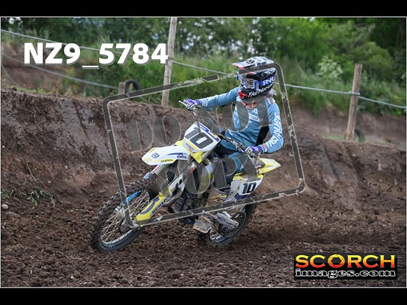Experts-041