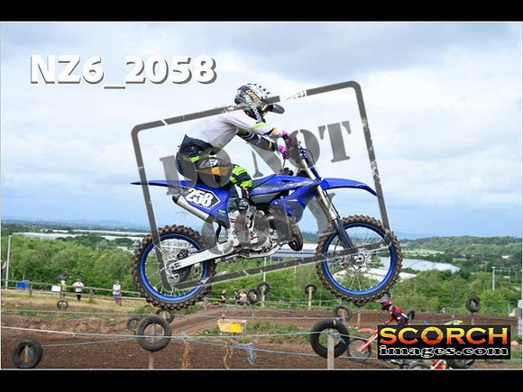 IntersGreen-087