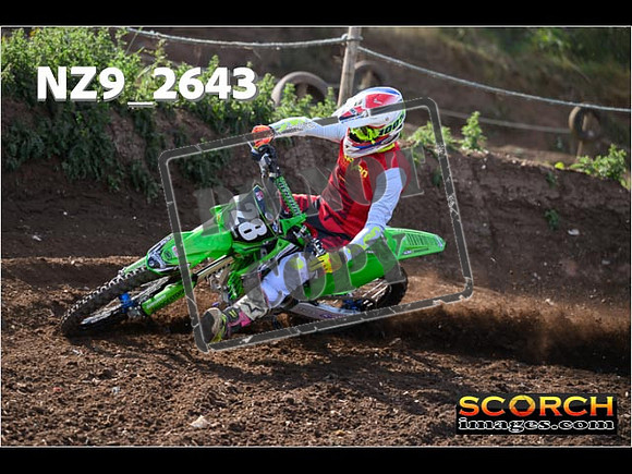 IntersGreenOrange-043