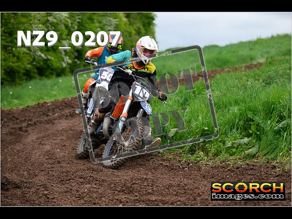 IntersGreen-158