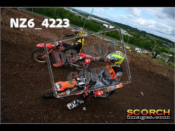 Orange Group-062