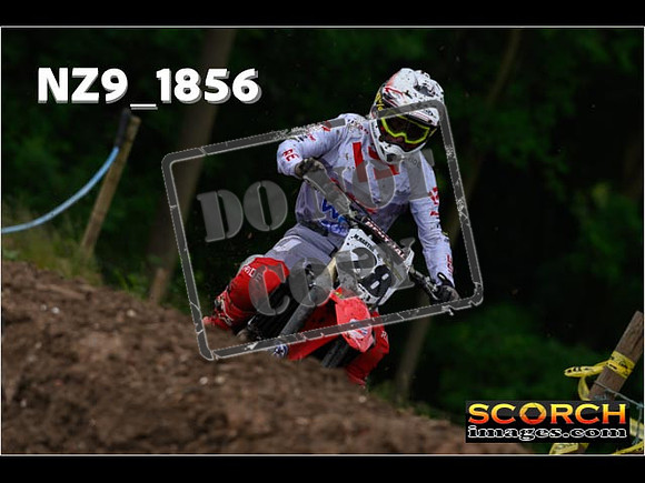 Experts-076