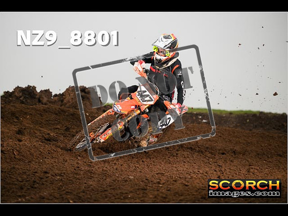 Experts-095