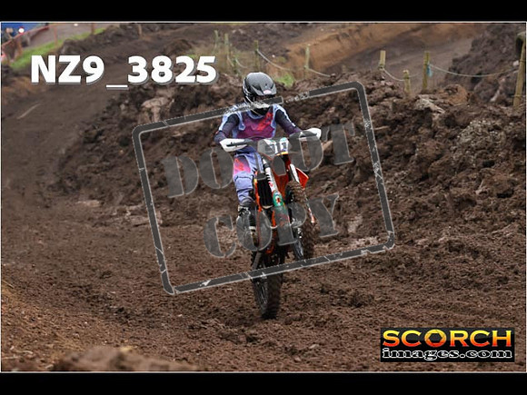 Experts-021