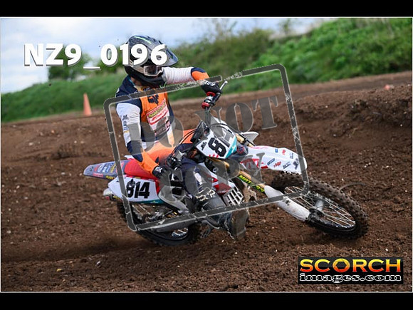 Experts-133