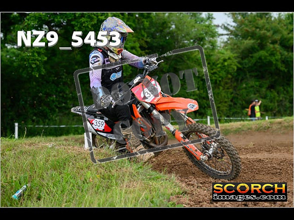 Experts-384