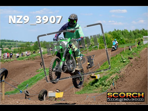 InterGreen-191