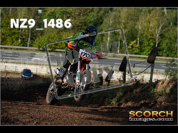 Experts-179