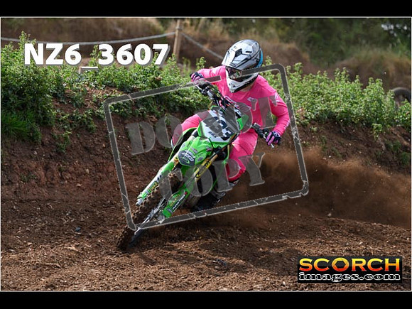 Experts-034