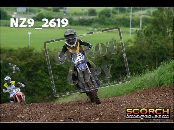 Experts-067
