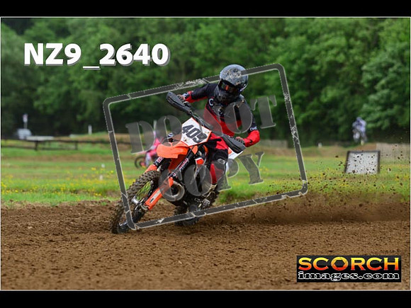 Novice-230