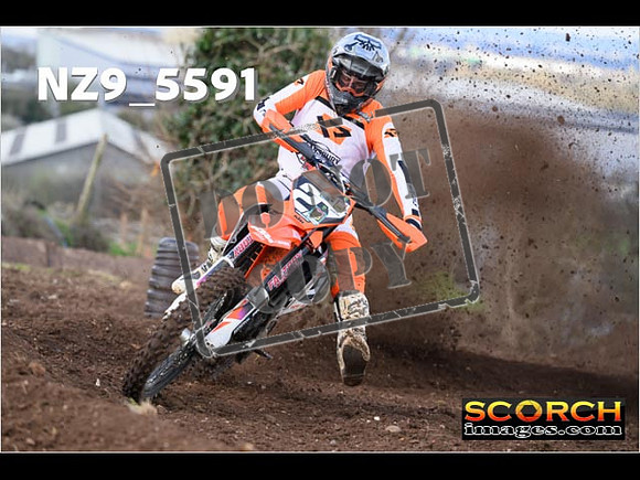 Experts-099