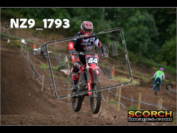 Inters Green-147