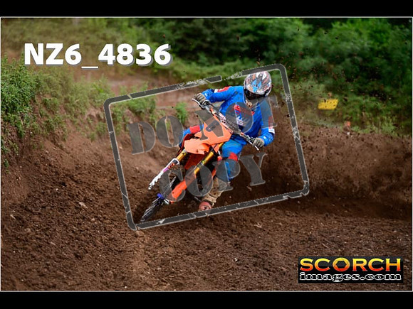Experts-032