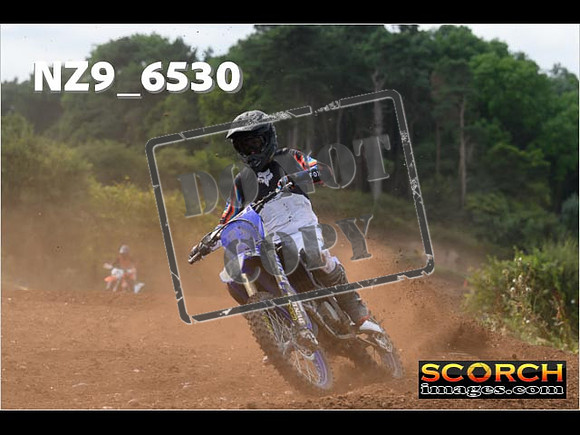 Experts-239