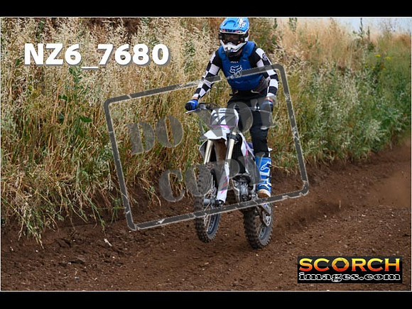 Experts-160