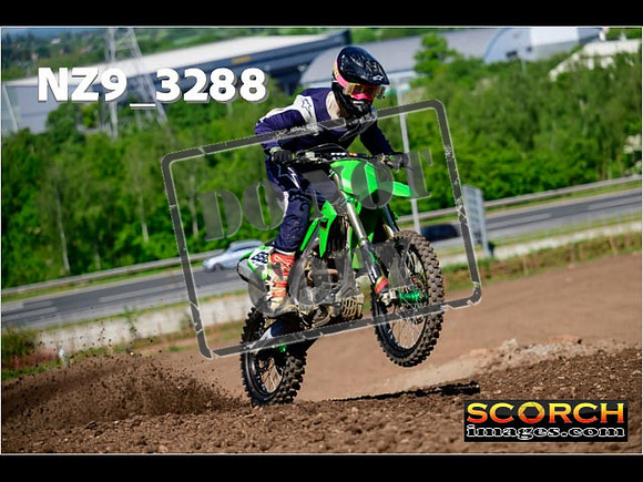 InterGreen-041