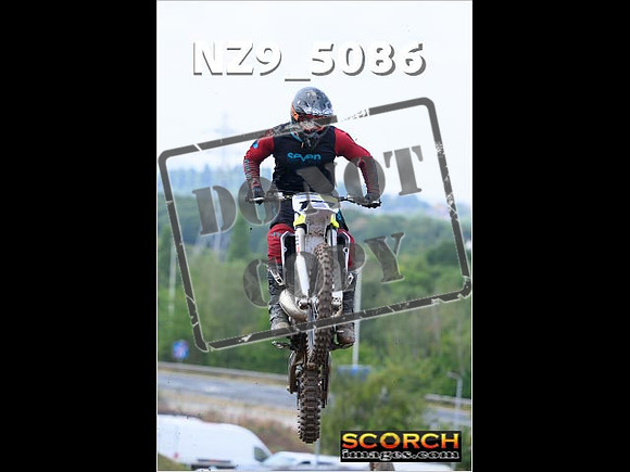 InterGreenOrange-208