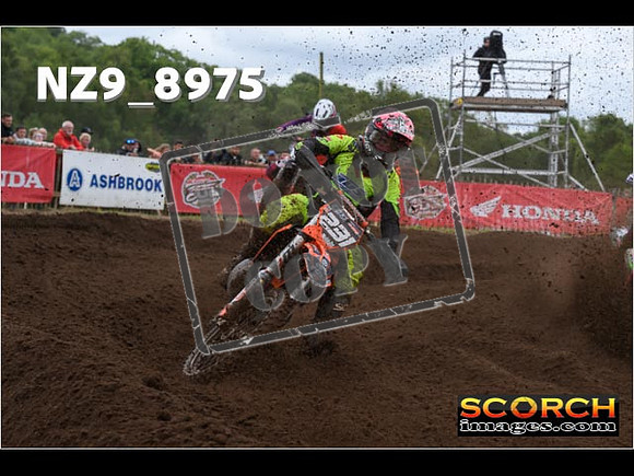 MX2-123