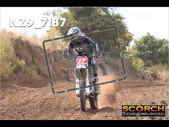 Experts-093