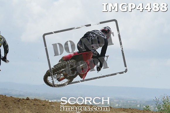 IMGP4488