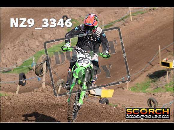IntersGreen-099