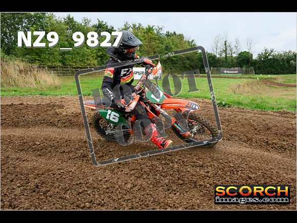85'S-081
