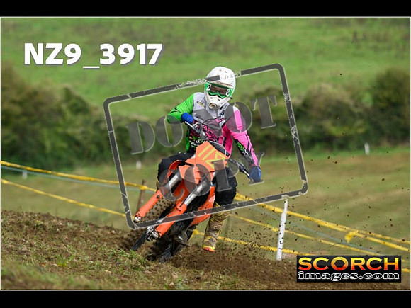Experts-106