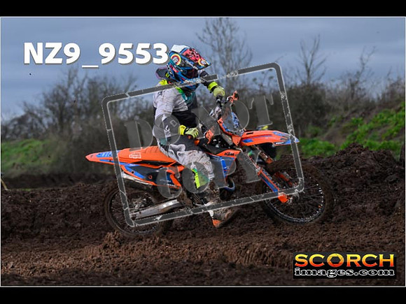 Intermediates-238