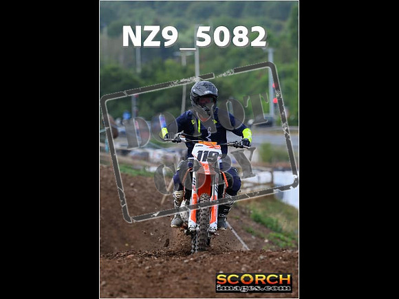 InterGreenOrange-204