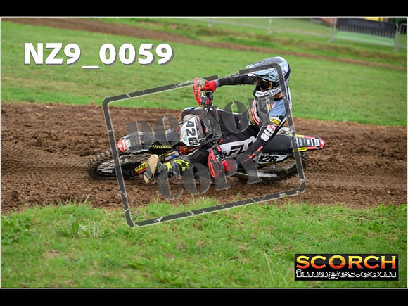Novice-232