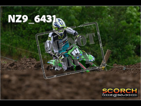 Experts-243