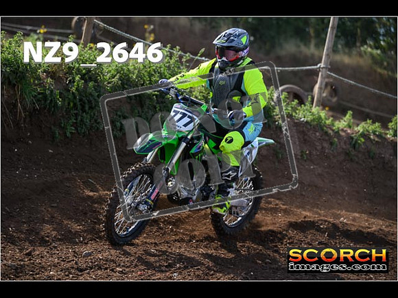IntersGreenOrange-046