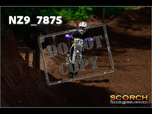 IntersGreenOrange-078