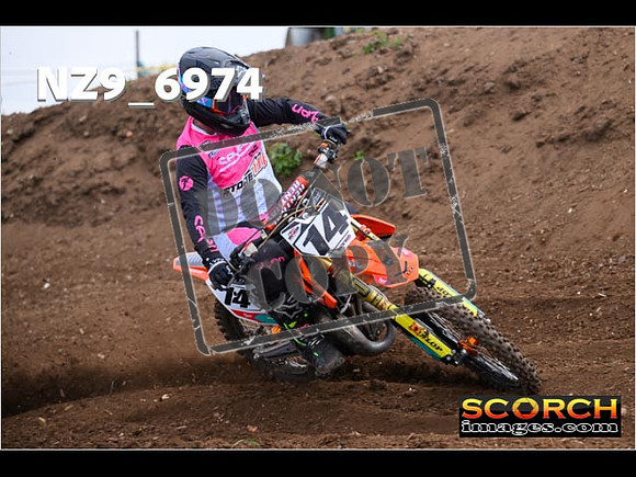 Experts-078