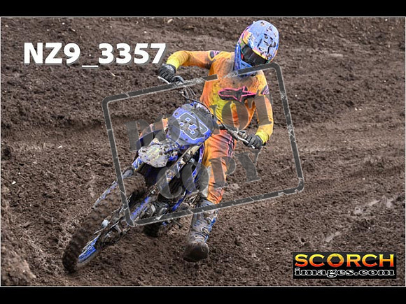 Inters-294