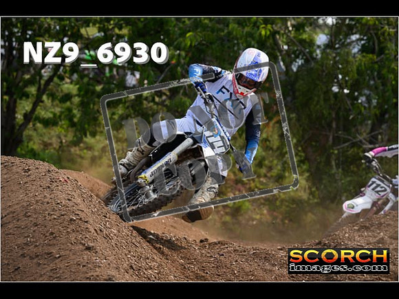 Experts-328