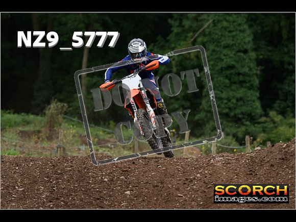 Experts-246