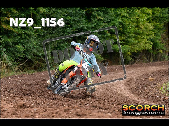 Experts-037