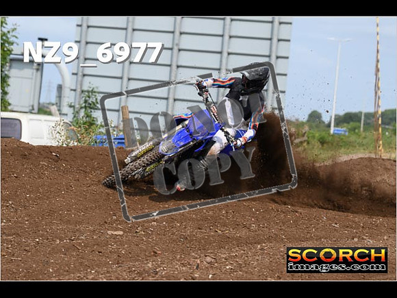 Experts-374