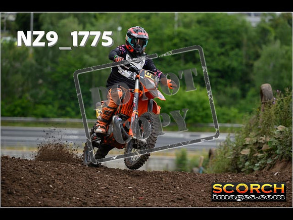 IntersGreenOrange-031