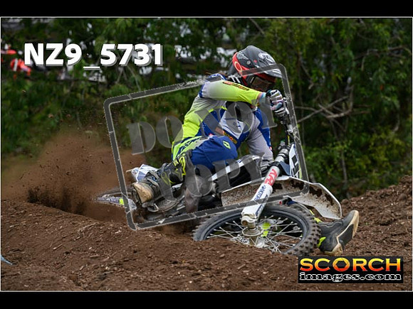 Experts-201